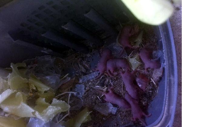 1477130658-1bf3e1.jpeg 1477130658-1bf3e1.jpeg