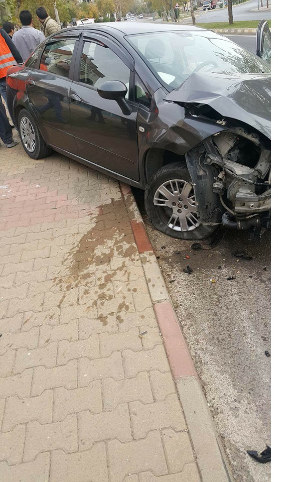 15032819_1054971667934074_5156770069617278422_n.jpg 15032819_1054971667934074_5156770069617278422_n.jpg