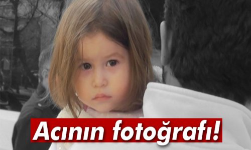 1523436.jpg 1523436.jpg