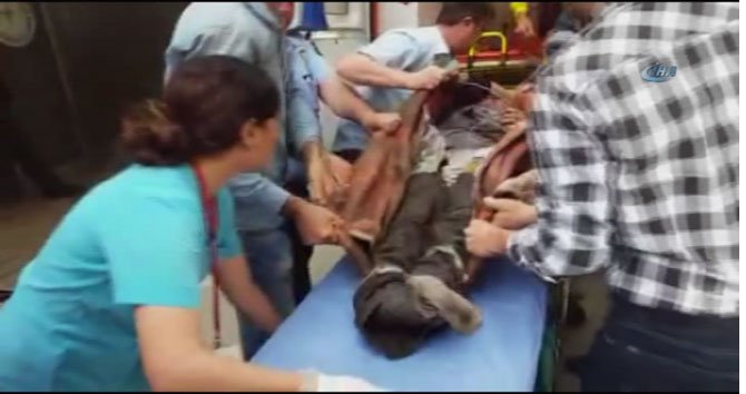 1627183.jpg 1627183.jpg