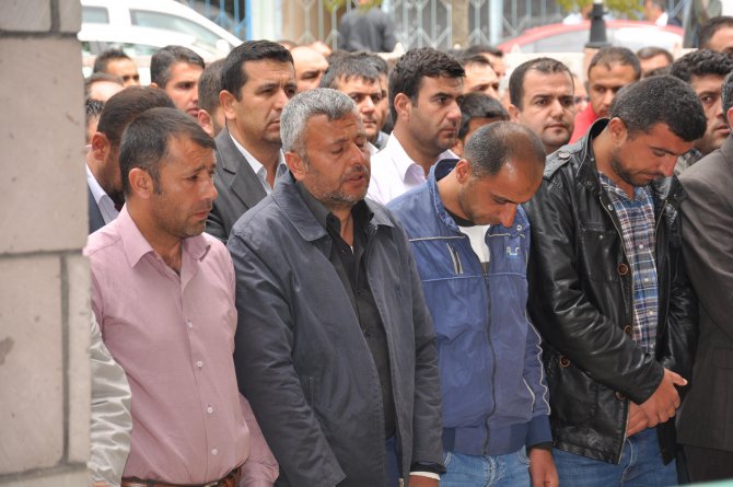 20160428aw732005_02.jpg 20160428aw732005_02.jpg