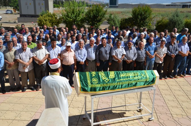 20160616aw777905_01.jpg 20160616aw777905_01.jpg