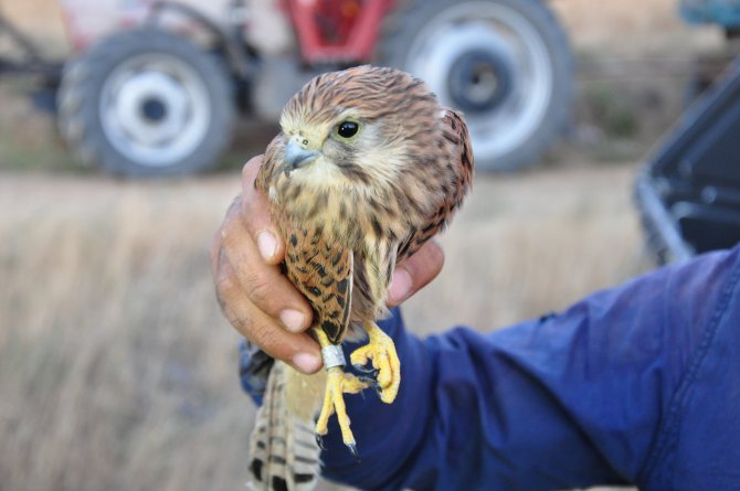 20160711aw797127_01.jpg 20160711aw797127_01.jpg