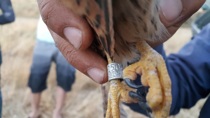 20160711aw797127_03.jpg 20160711aw797127_03.jpg