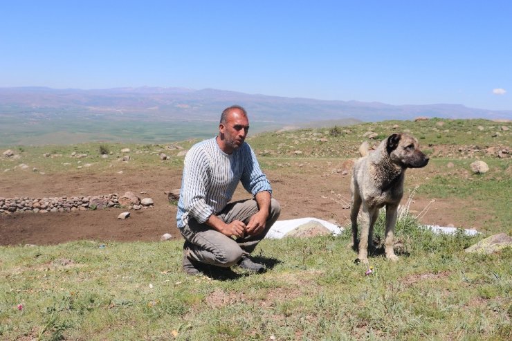 Çiftçiler bin bir zorlukla üretmeye devam ediyorlar