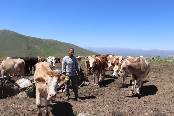 Çiftçiler bin bir zorlukla üretmeye devam ediyorlar