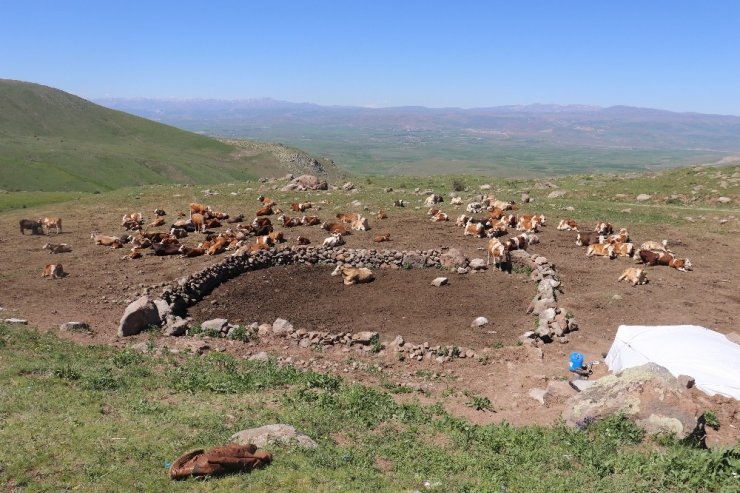 Çiftçiler bin bir zorlukla üretmeye devam ediyorlar