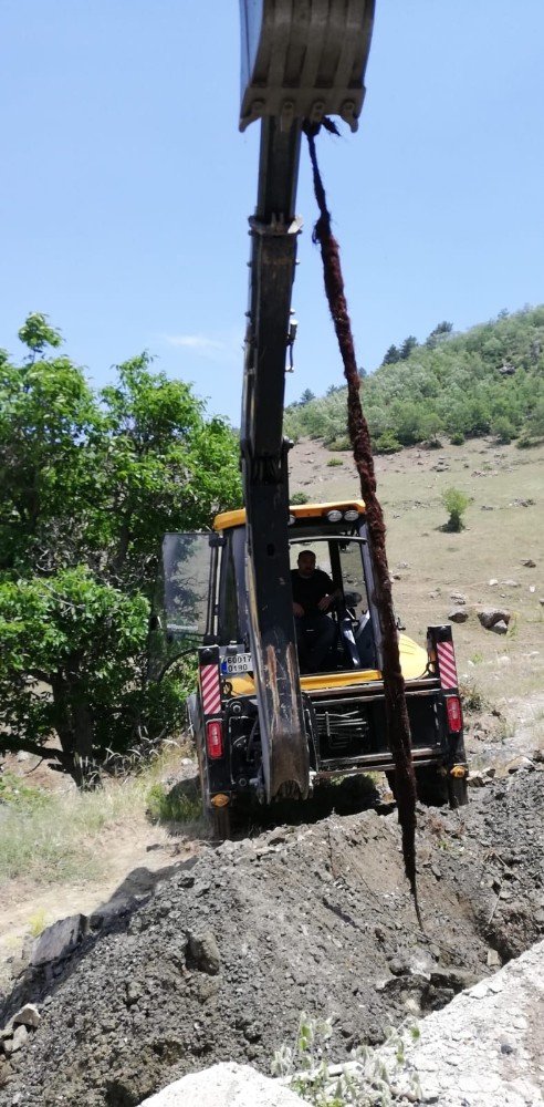 İçme suyu borusundan çıkan 6 metrelik ağaç kökü görenleri şaşkına çevirdi