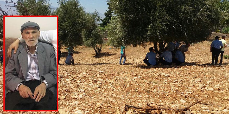 6-gundur-kayip-olan-yasli-adamin-cesedi-zeytinlikte-bulundu-1.jpg