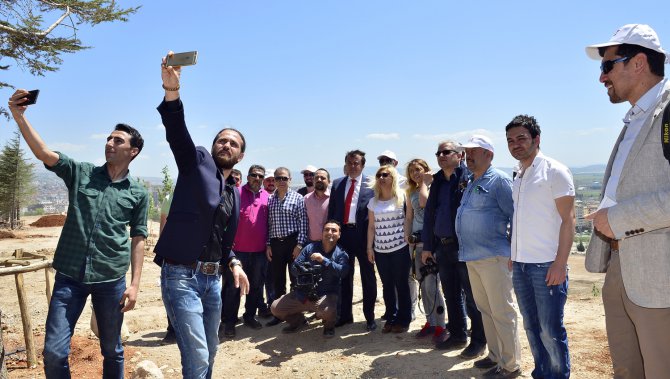 _stc3374.jpg _stc3374.jpg