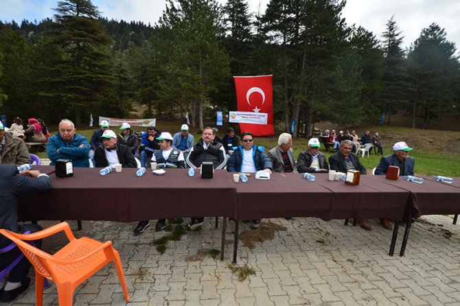 a1-013.jpg a1-013.jpg