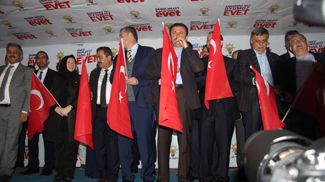 a1-017.jpg a1-017.jpg