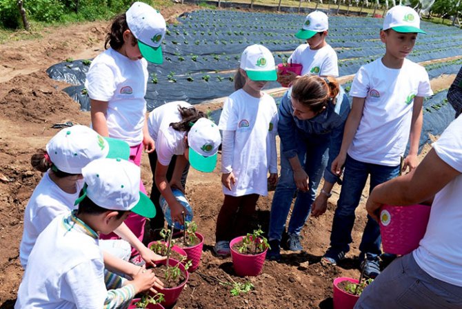 a1-025.jpg a1-025.jpg