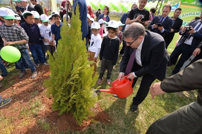 a2-008.jpg a2-008.jpg