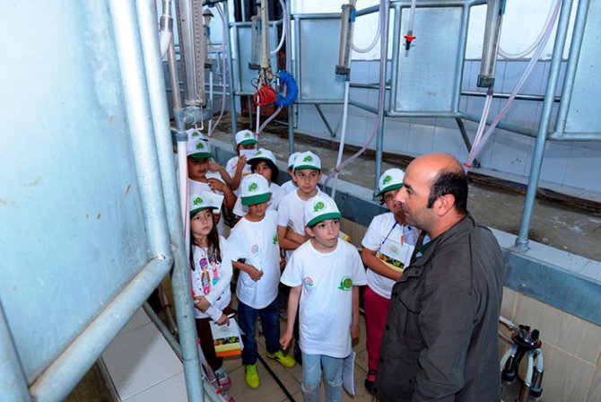 a3-015.jpg a3-015.jpg