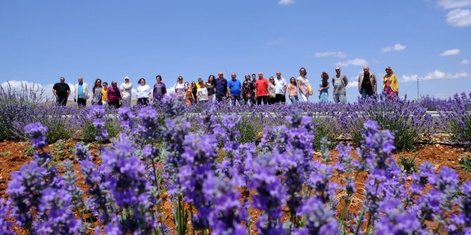 afsin-belediyesi-gayret-ve-imkanlariyla-yapilan-yatirimlar-ve-lavanta-bahceleri-ilcemizi-ziyarete-gelen-turistlerin-takdirini-topluyor.jpeg
