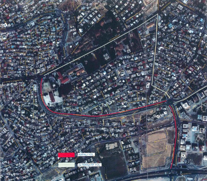 ali-sezal-bul.jpg ali-sezal-bul.jpg