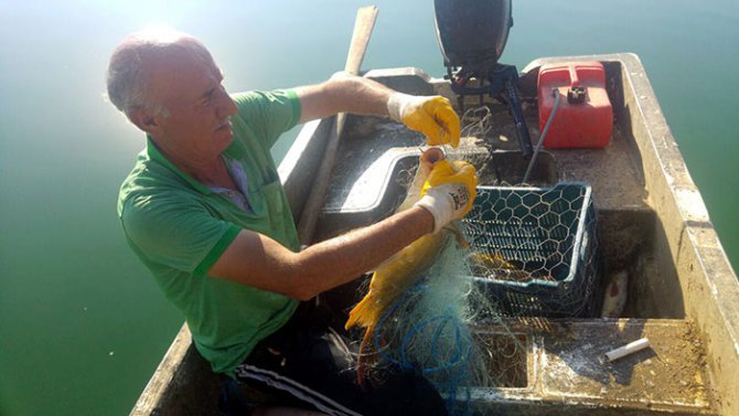 balik-avi1.jpg balik-avi1.jpg