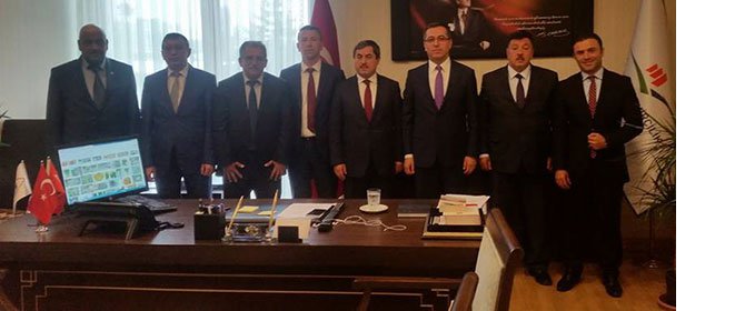 celegen1.jpg celegen1.jpg