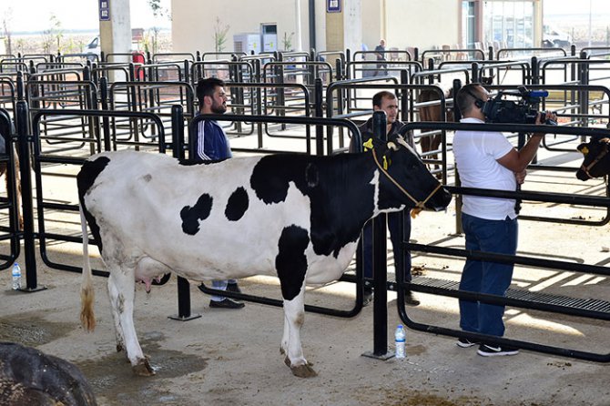 daha-saglikli-ve-daha-hijyenik-ortamda-et-tuketilecek2.jpg daha-saglikli-ve-daha-hijyenik-ortamda-et-tuketilecek2.jpg