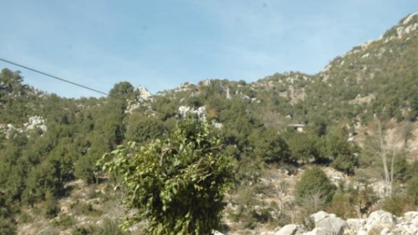 defne-yapraklarini-bin-metreden-teleferikle-8943936_o.jpg
