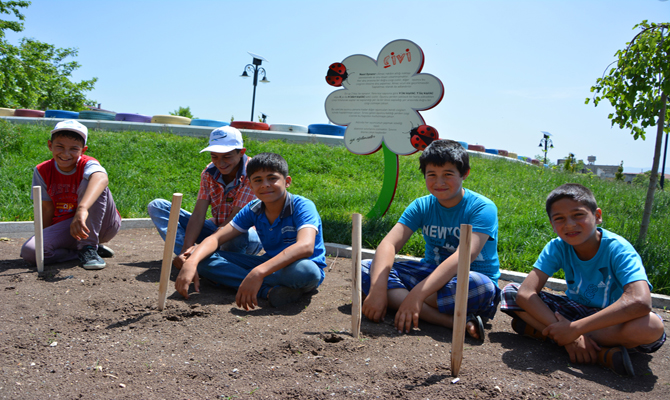 dsc_0326-kopyala.jpg dsc_0326-kopyala.jpg