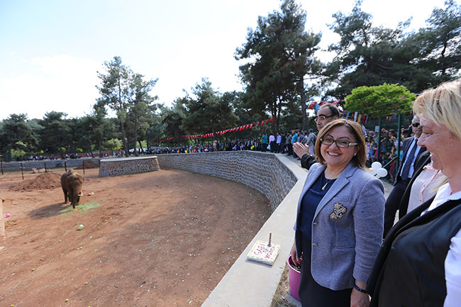 gaziantep-buyuksehir-belediyesi-hayvanat-bahcesi’nde-ozel-bir-gun1.jpg