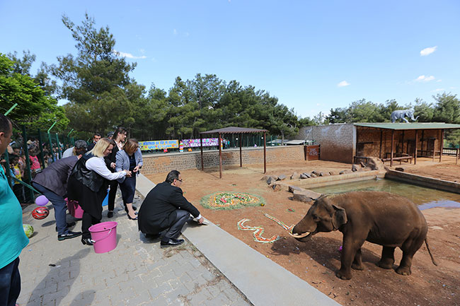 gaziantep-buyuksehir-belediyesi-hayvanat-bahcesi’nde-ozel-bir-gun2.jpg