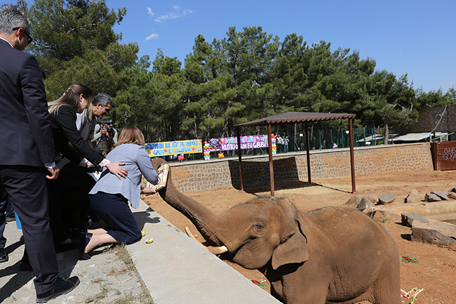 gaziantep-buyuksehir-belediyesi-hayvanat-bahcesi’nde-ozel-bir-gun3.jpg