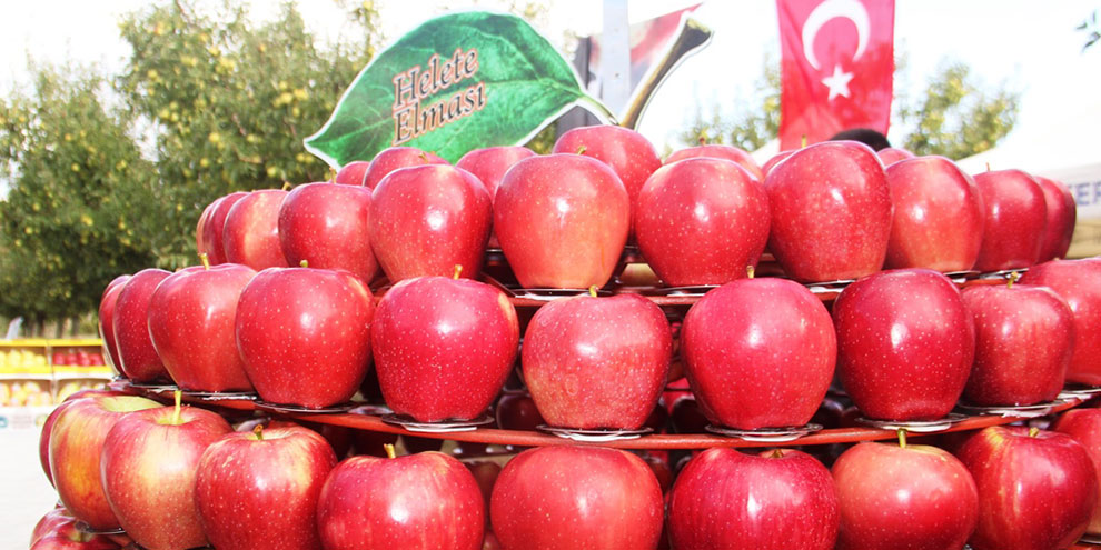 helete-organik-elma-merkezi-olmaya-aday1.jpg