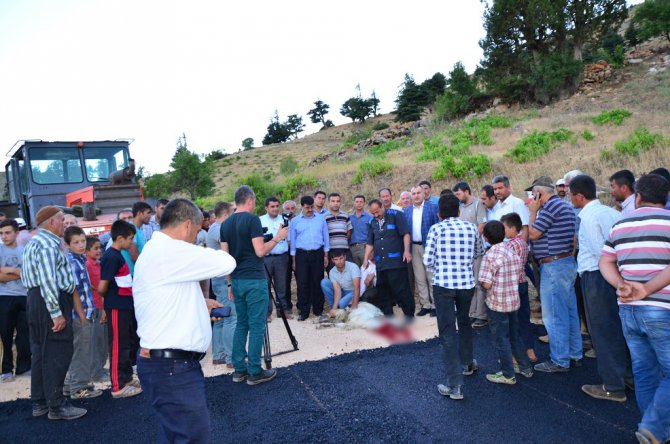 icerik5-kopya.jpg icerik5-kopya.jpg