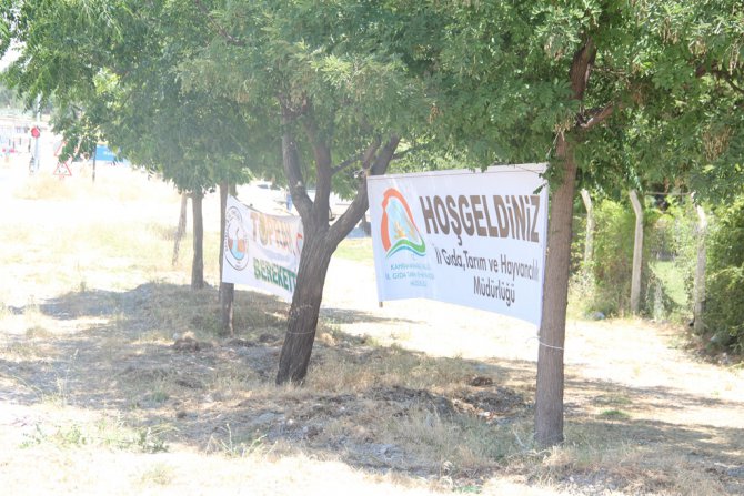 img_0039.jpg img_0039.jpg