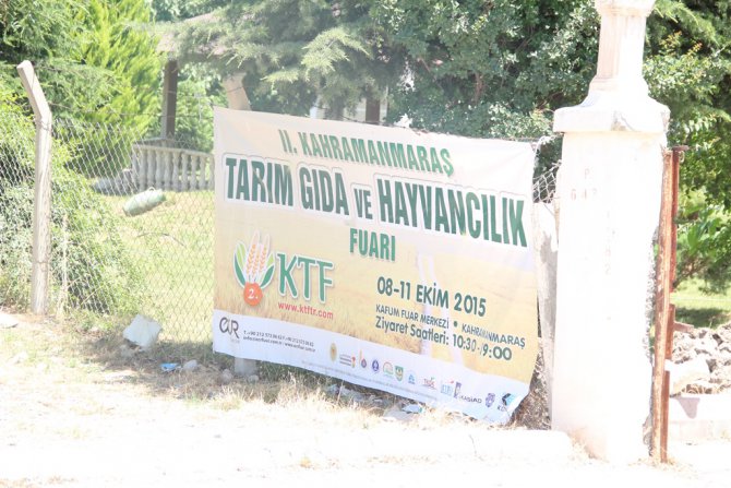 img_0040.jpg img_0040.jpg