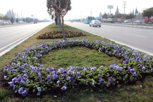 img_5129.jpg img_5129.jpg