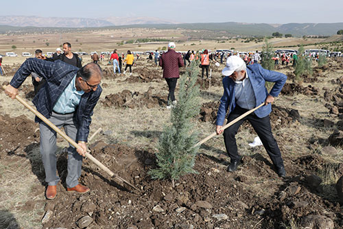 kahramanmaras’ta-221-bin-fidan-toprakla-bulustu.jpg