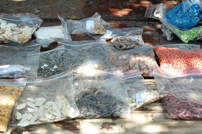 koleksiyon-2.jpg koleksiyon-2.jpg