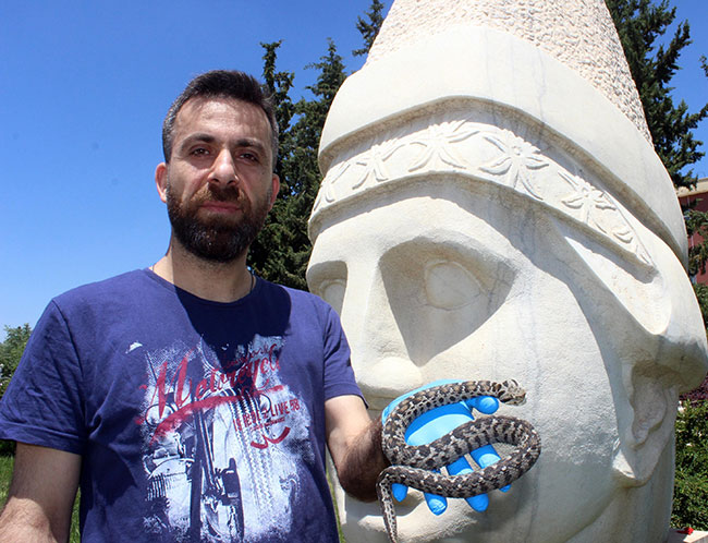 nesli-tehlikede-olan-yilan-nemrut-dagi’nda-goruldu1.jpg