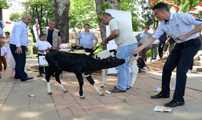 nst_2133-kopyala.jpg nst_2133-kopyala.jpg