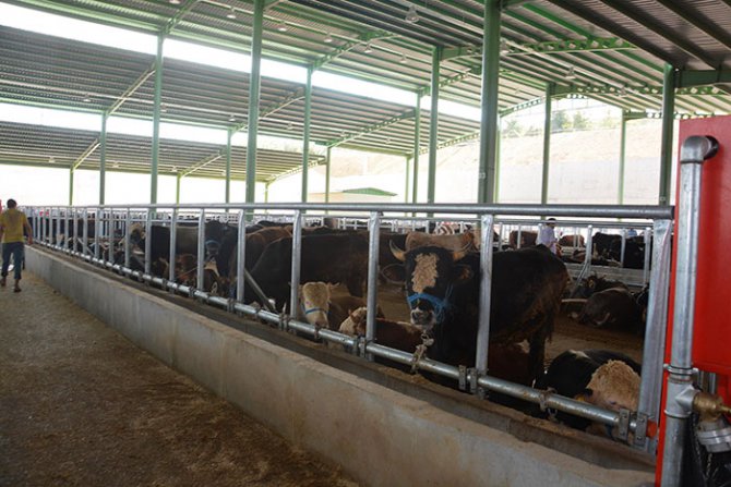 on-kayit-uyarisi!-basvurular-basladi1.jpg on-kayit-uyarisi!-basvurular-basladi1.jpg