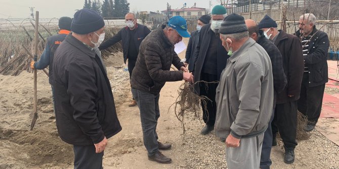 onikisubat-ilcesinde-ceviz-fidani-dagitimi-gerceklestirildi.jpg