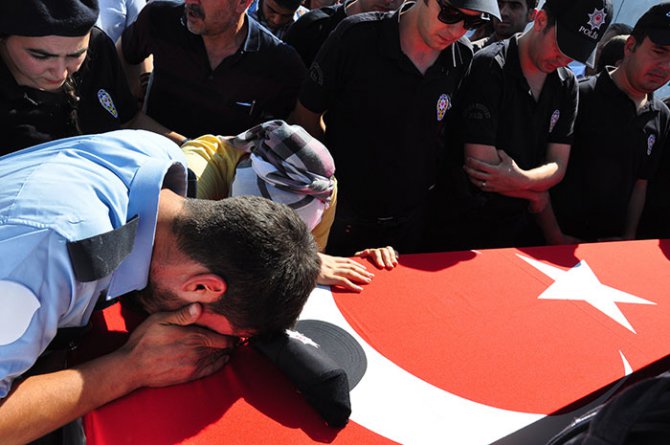 p1-007.jpg p1-007.jpg