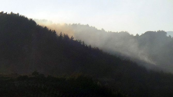 piknik-atesi-orman-yanginina-sebep-oldu-1.jpg