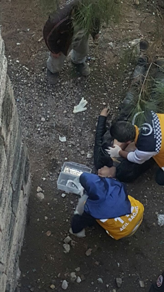 whatsapp-image-2017-01-22-at-17.15.31.jpeg whatsapp-image-2017-01-22-at-17.15.31.jpeg